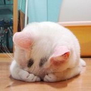 丢死人了.jpg