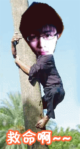 未命名.gif