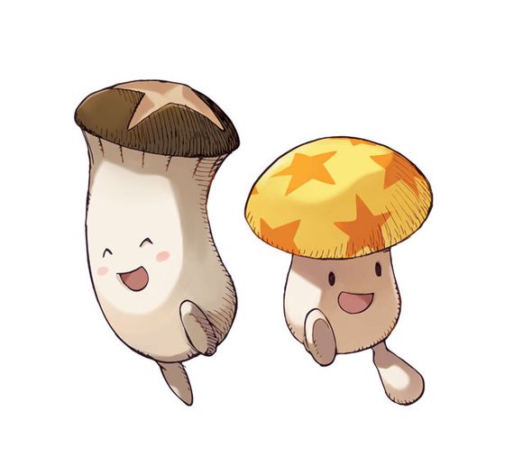 星菇.jpg