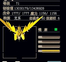 风翼龙1.jpg