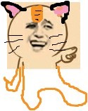 16.jpg