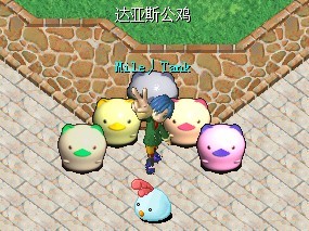 鸡1.jpg