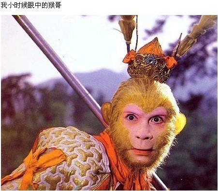 061.jpg