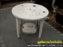 mogu.gif