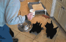 maimeng.gif