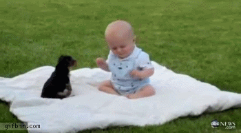 mxcp697e09e0jw1e568kxmdmjg209q05dnpf.gif