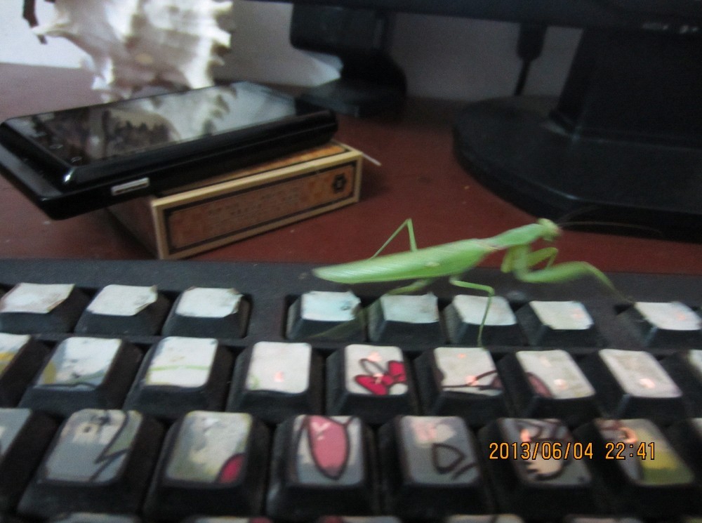 QQ图片20130605215303.jpg