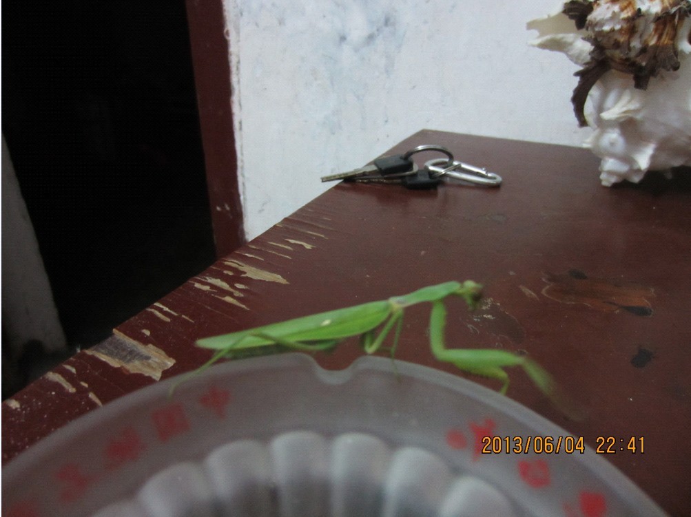QQ图片20130605215245.jpg