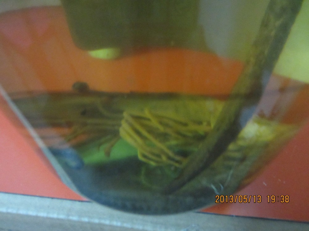QQ图片20130605215452.jpg