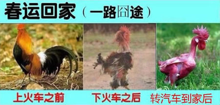 春运.jpg