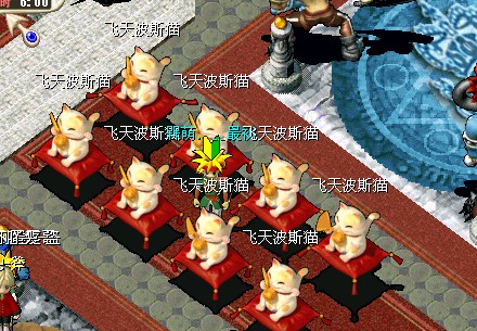 飞天猫X.jpg
