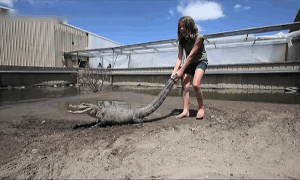 2714803_22.gif