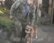 2714803_2.gif