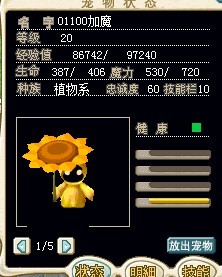 向日葵.jpg