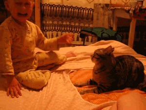 7541691_0.gif