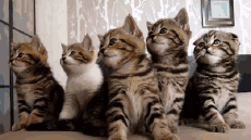 QQ图片20130715093804.gif