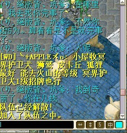 19.jpg
