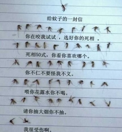 222.jpg