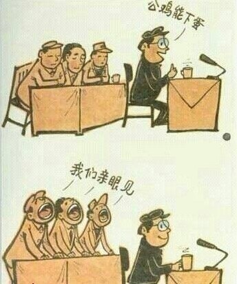 献给五毛.jpg