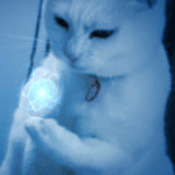 来个魔法.gif