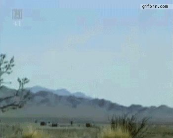 地毯式轰炸.gif