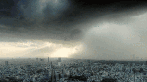 这就是暴风雨.gif