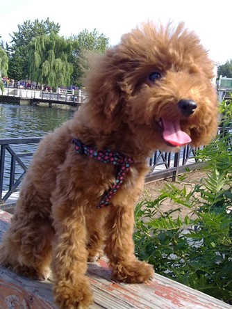 QQ图片20130828142549.jpg