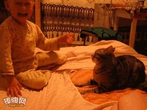 460.gif