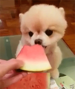 萌翻了