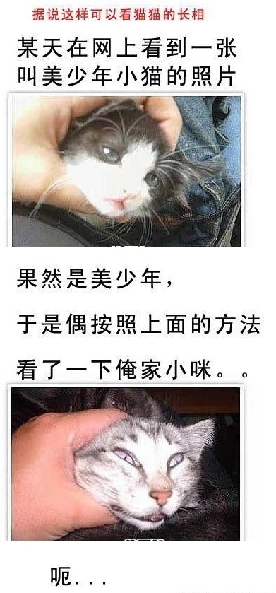 QQ截图20130918231938.jpg