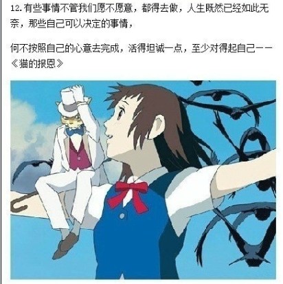 12 猫的报恩.jpg