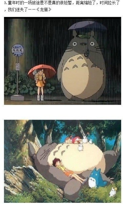 3 龙猫.jpg