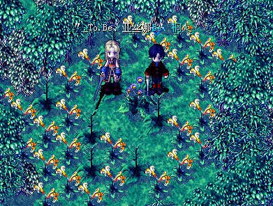 月待花2.jpg