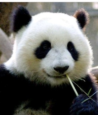QQ图片20020101002718.jpg